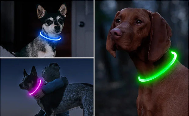 Led Dog Collar