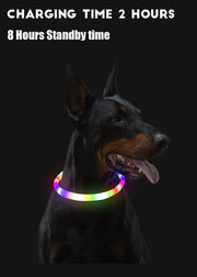 Led Dog Collar