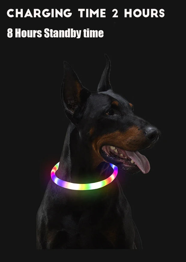 Led Dog Collar